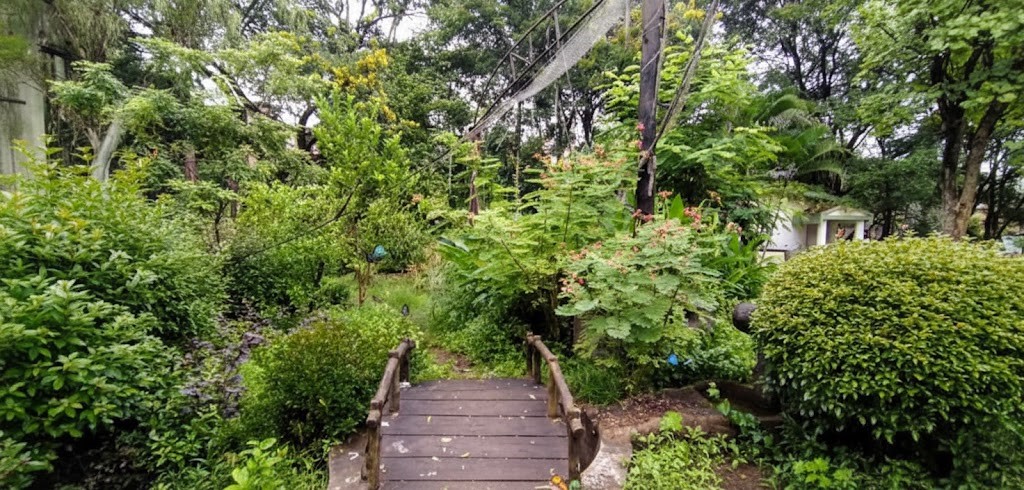 Butterfly Park Pune - Parks & Gardens place in Pune