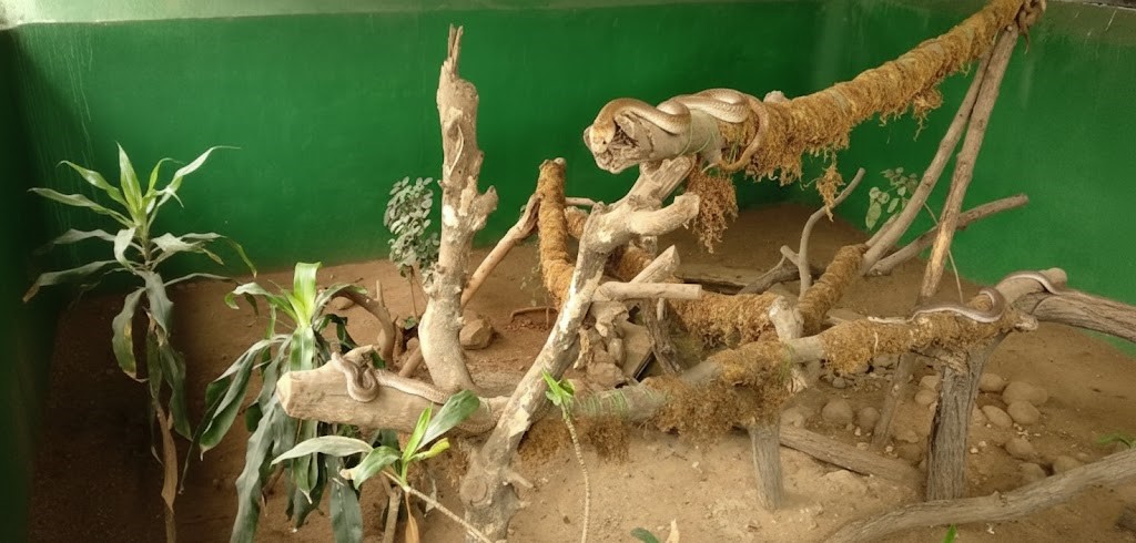 Katraj Snake Park - Parks & Gardens place in Pune