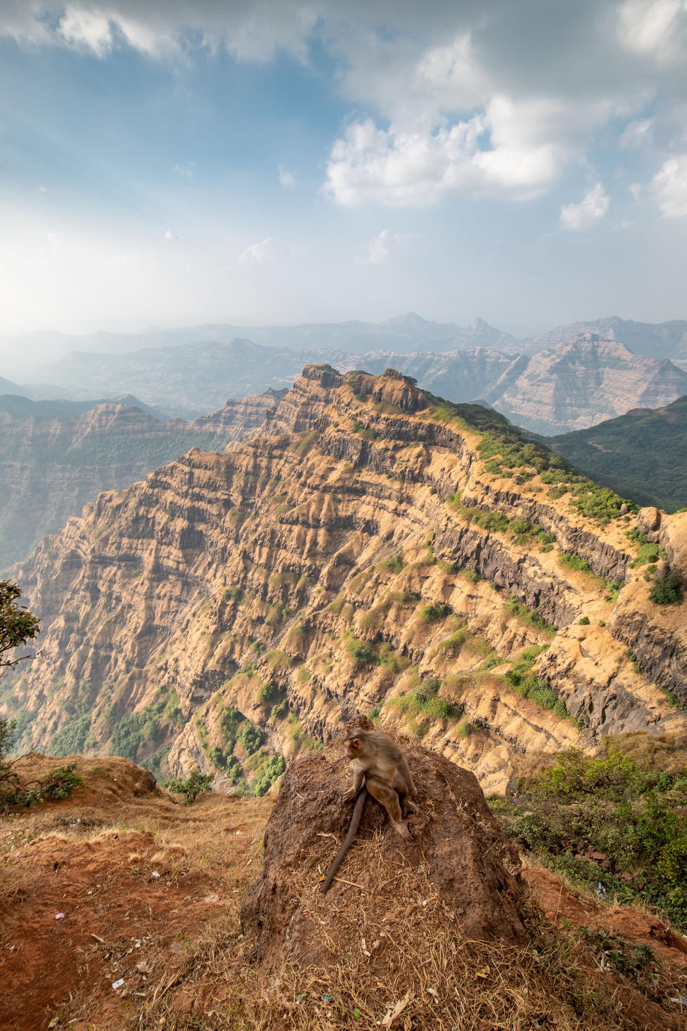 Mahabaleshwar - Image 1